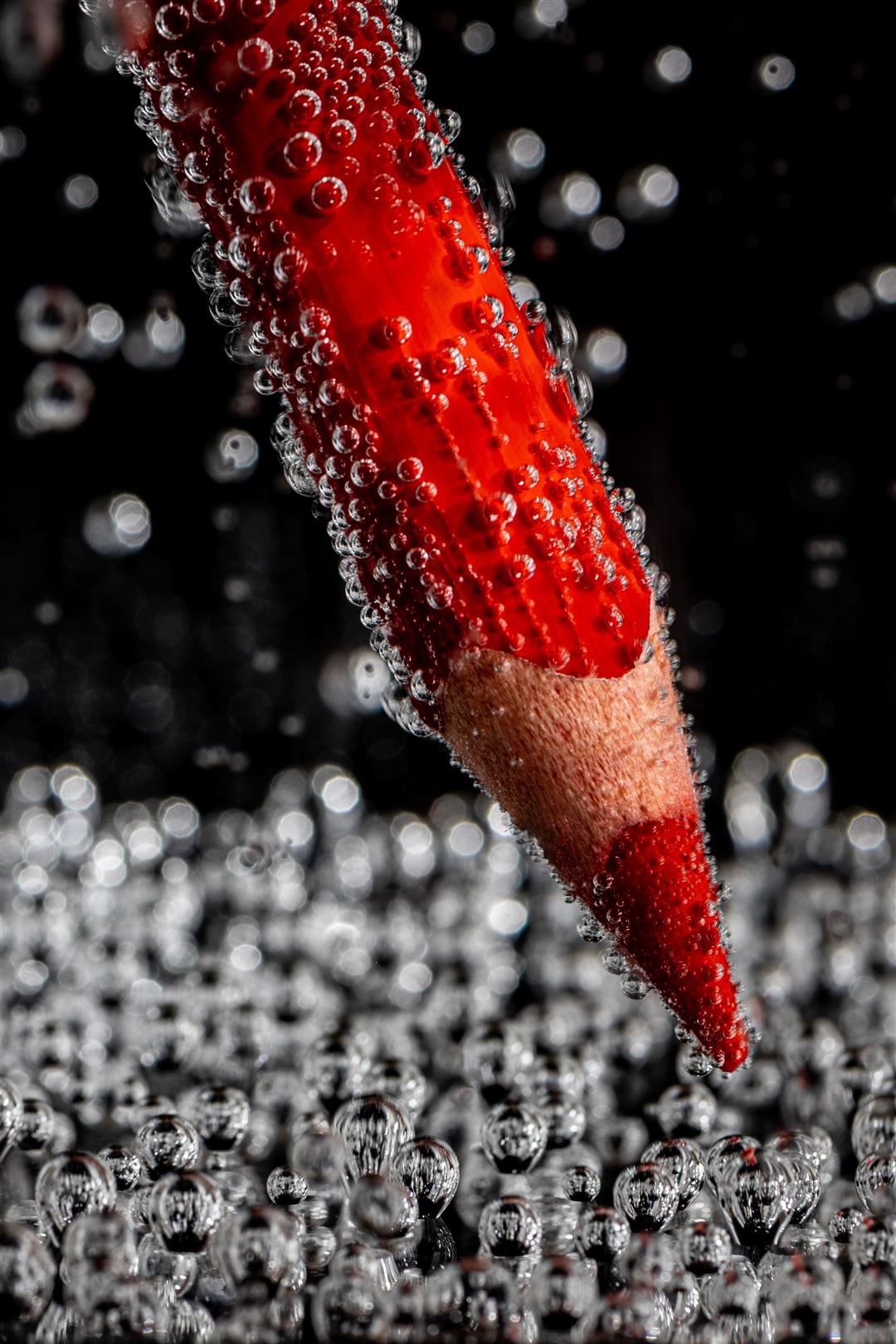 Bubbles Bubbles