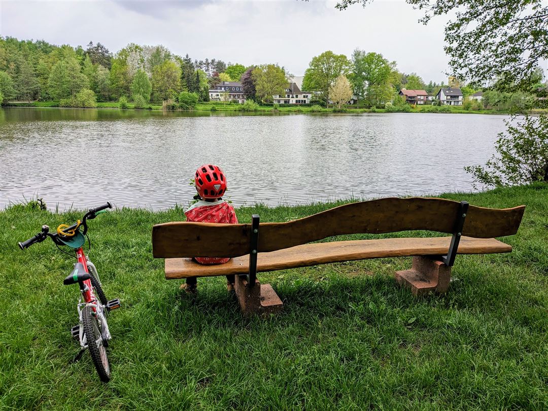 Mohrmühlweiher in der Westricher Moorniederung Mohrmühlweiher in der Westricher Moorniederung